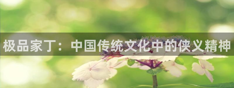 奇漫屋免费下拉式漫画：极品家丁：中国传统文化中的侠义精神